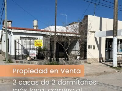 Se Venden dos Casas con Local Comercial en Barrio Sur