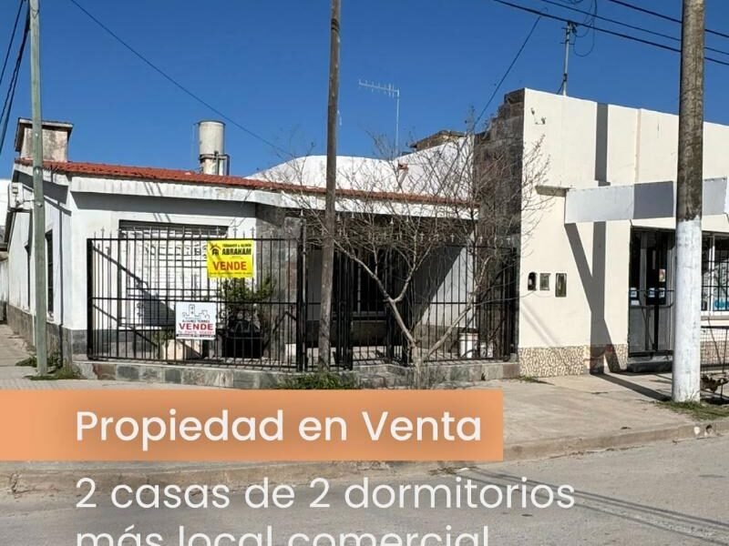 Se Venden dos Casas con Local Comercial en Barrio Sur